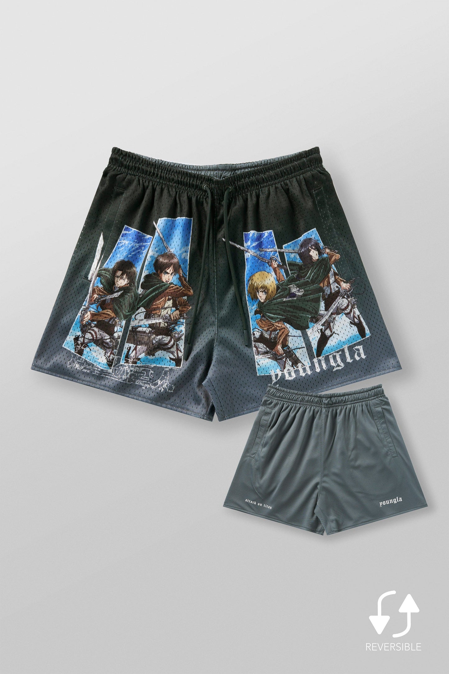 1126 - AOT? x YLA Mesh Shorts